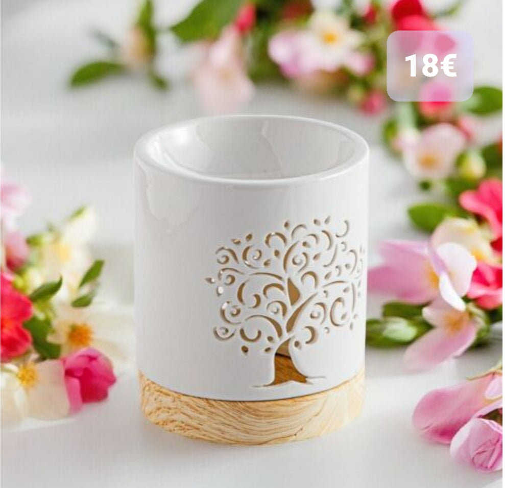 Brûleur à fondant