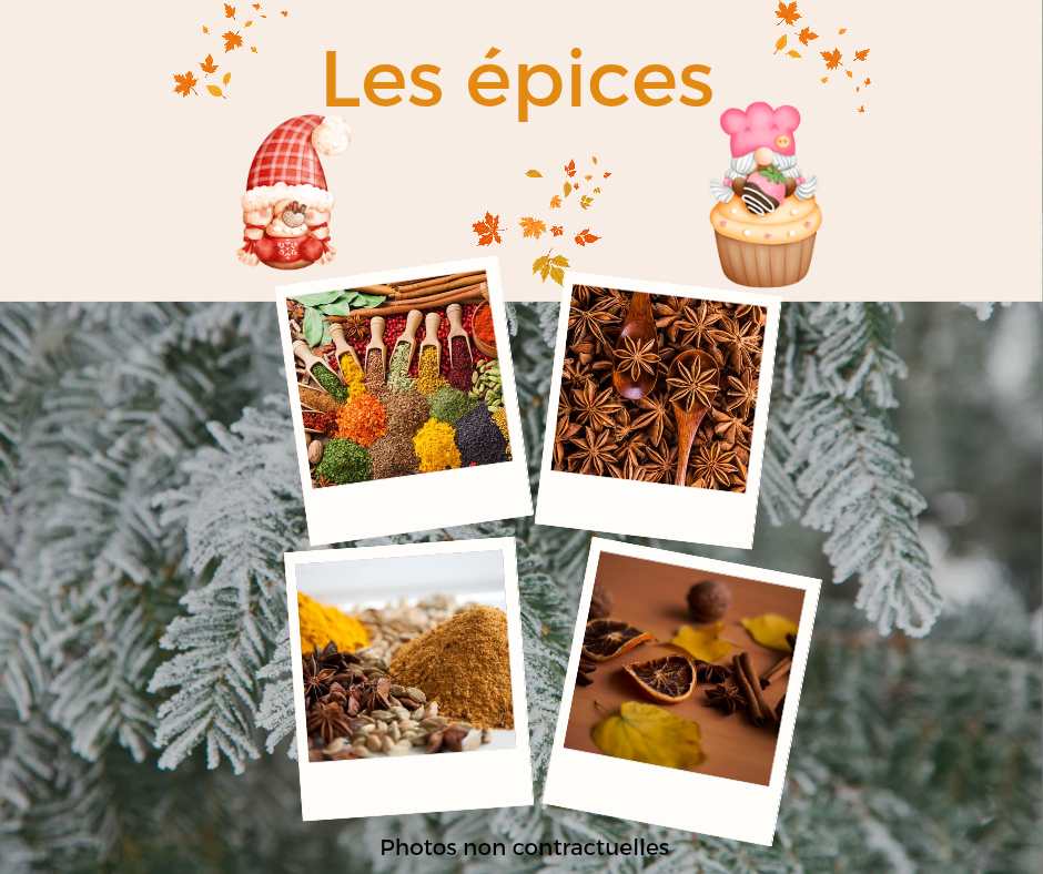 Les épices